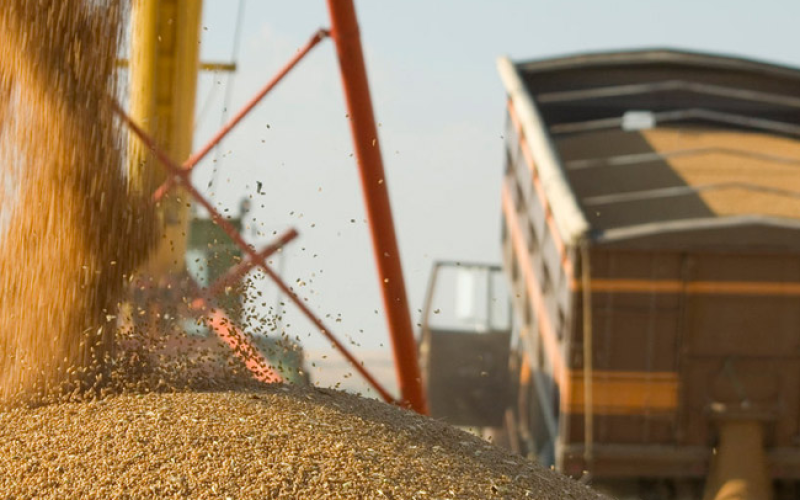 Transport Cereale tip BULK